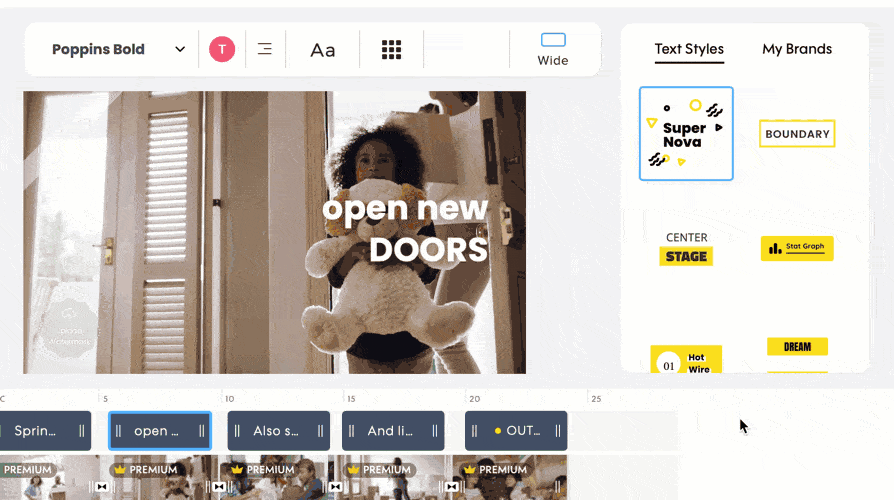 Promo Animation Previews