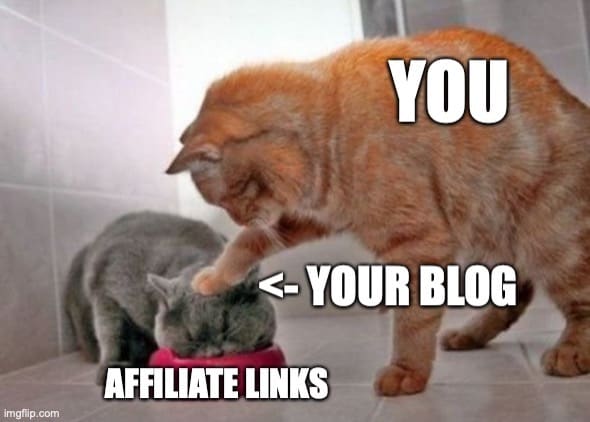 Force Feeding Affiliate Links