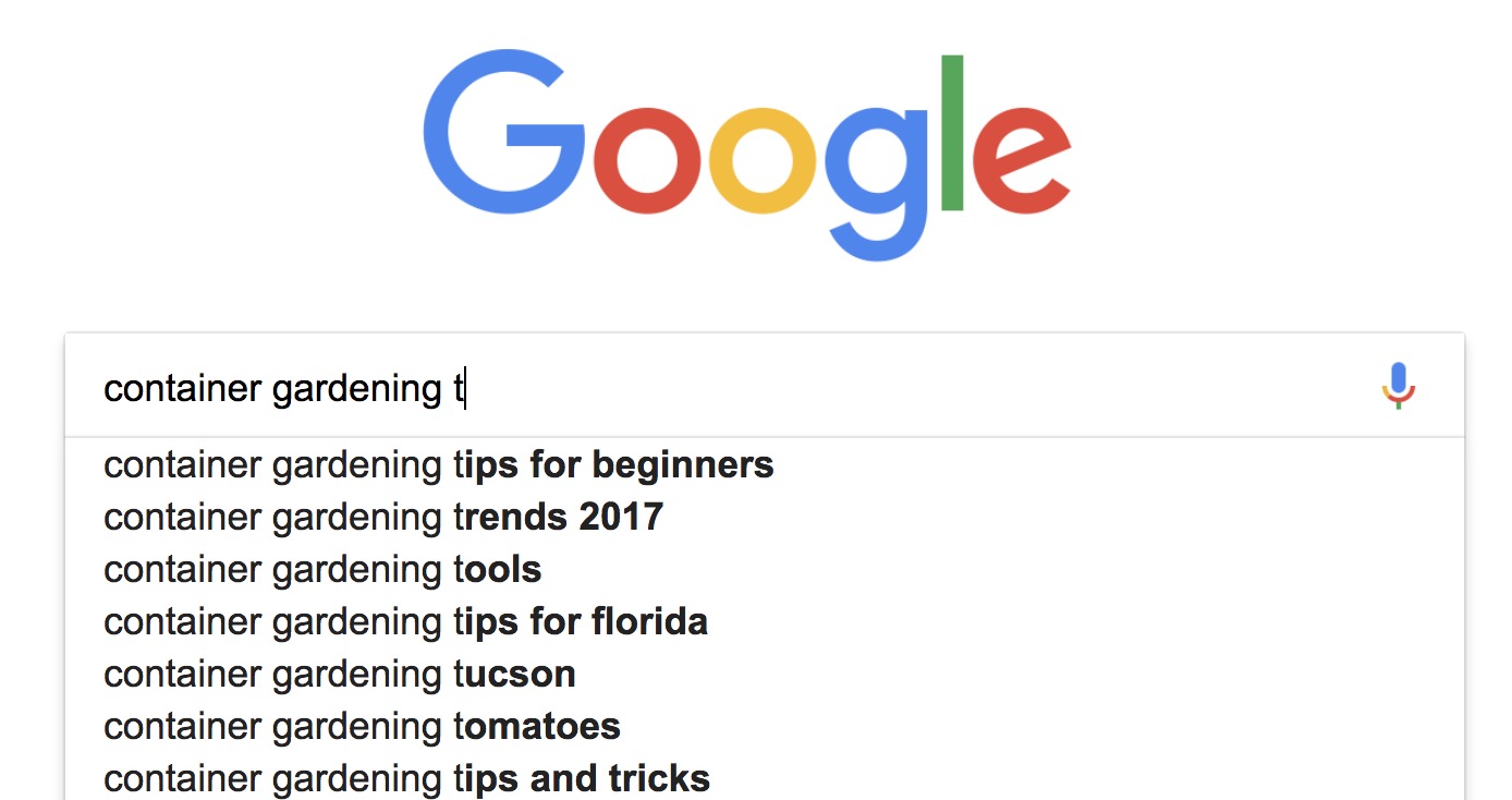 Google Autocomplete feature