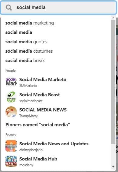Pinterest Search