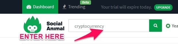 Social Animal Content Research