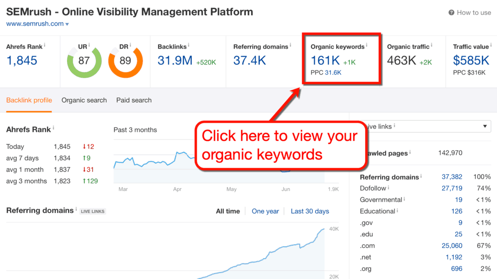 Ahrefs Organic Keywords