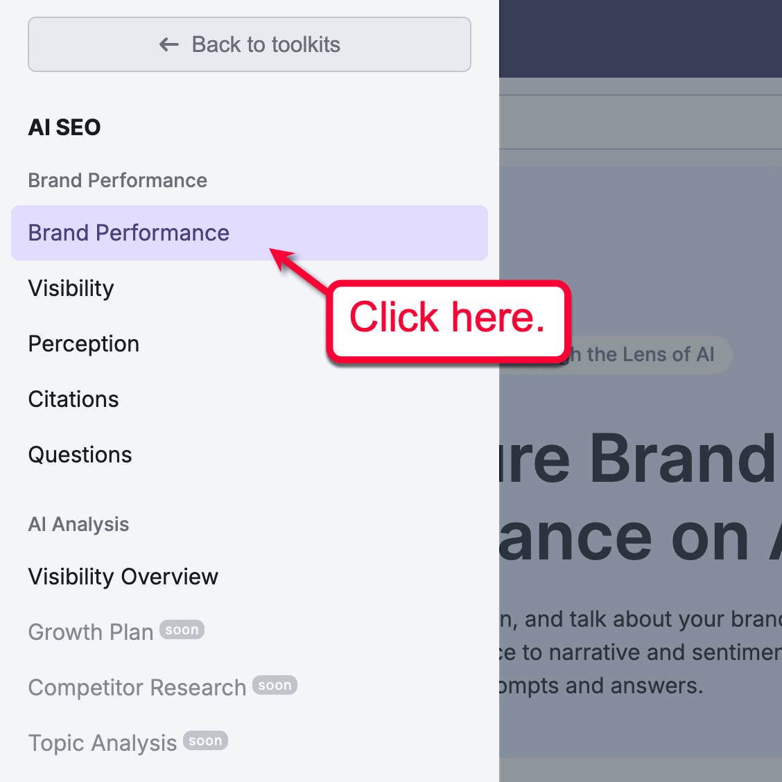 Brand Performance Submenu