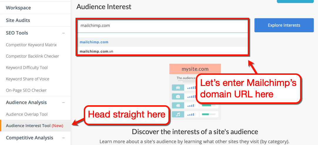 Audience Interest Tool on Mailchimp