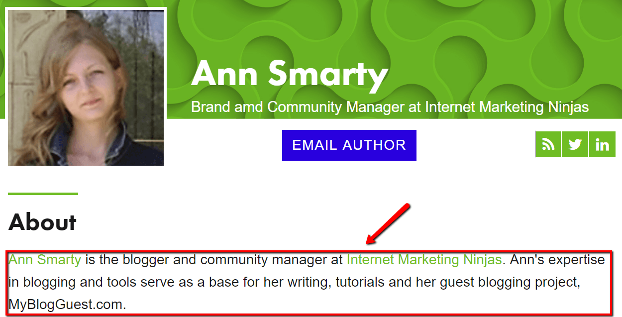 Ann Smarty guest posts