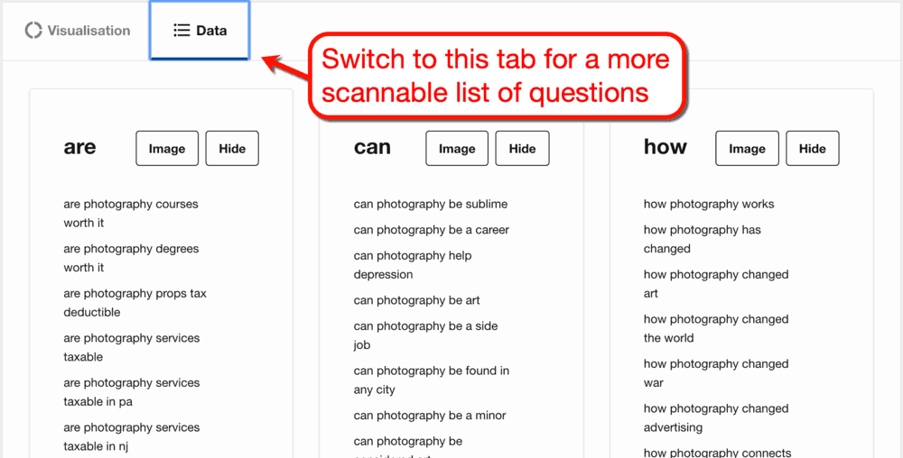 AnswerThePublic Data View