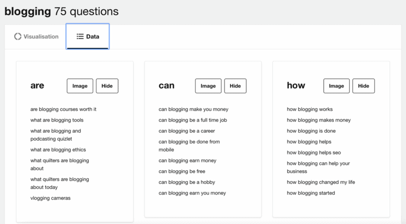 AnswerThePublic Data View