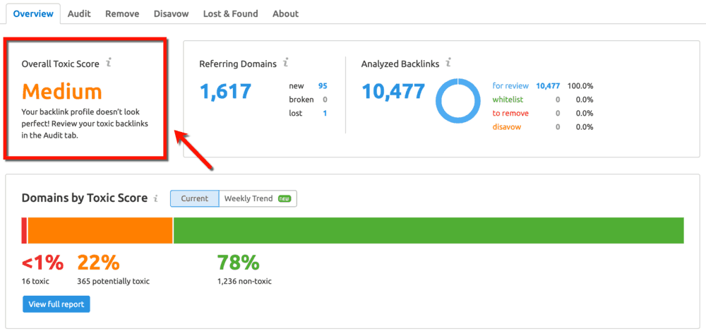 Backlink Audit Overview