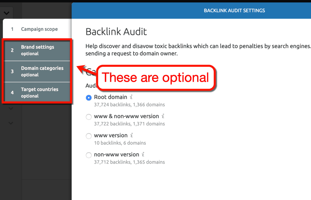 Backlink Audit Settings Optional