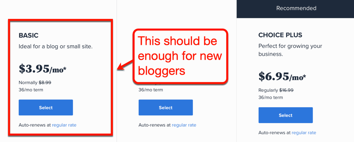 Bluehost Basic Hosting Plan