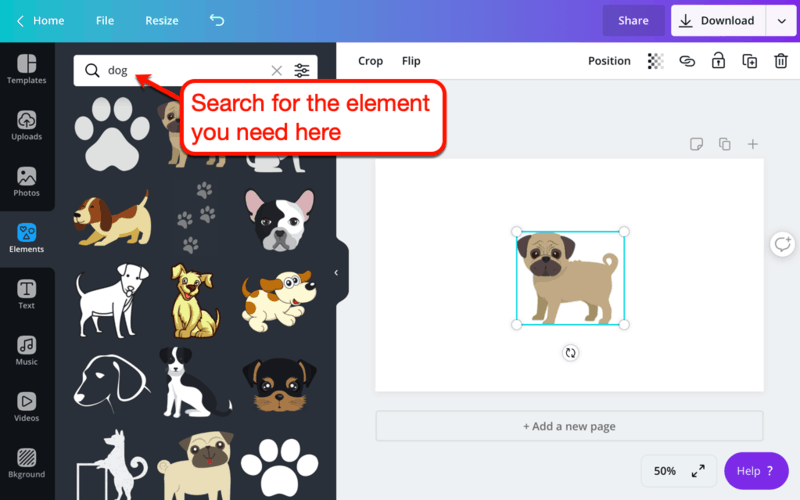 Canva Main Interface