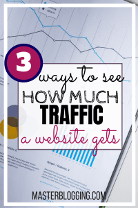 check website traffic pin 2