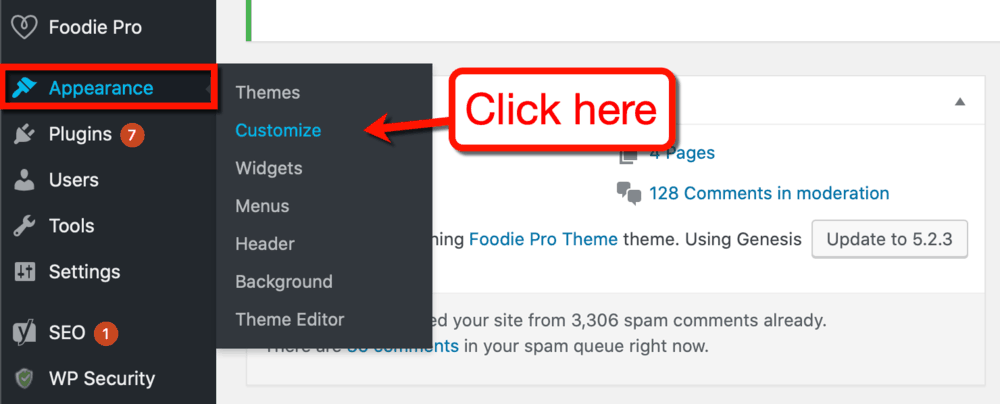 WordPress Theme Customization