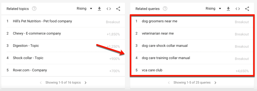 Dog Care Related Queries