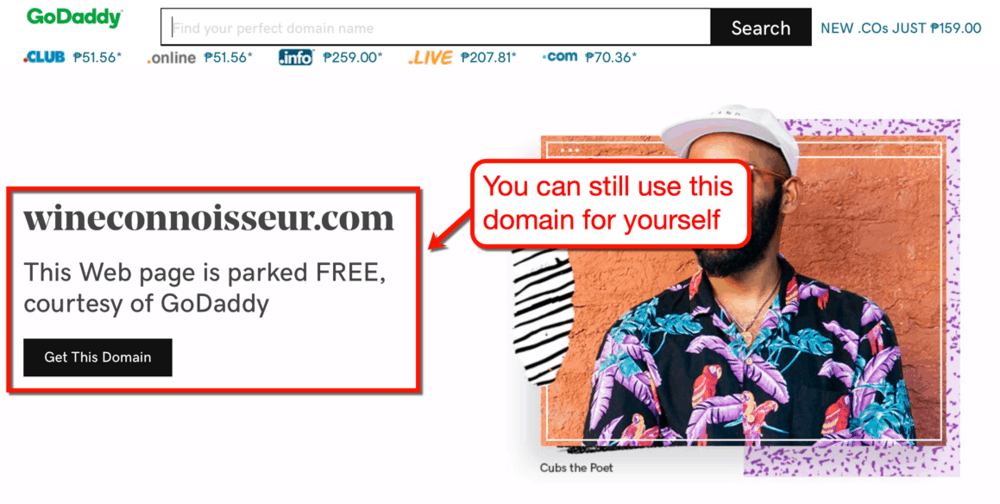 GoDaddy Parked Domain Page