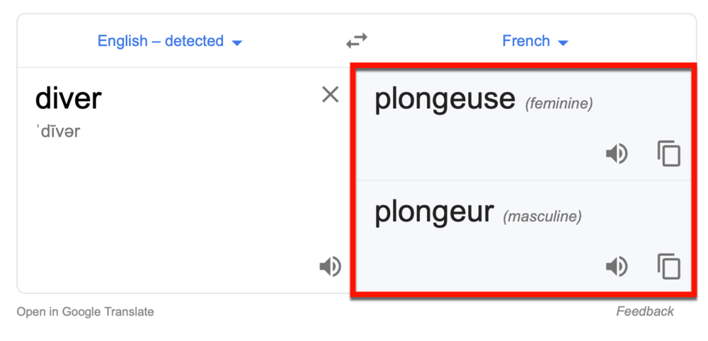 Google Translate for diver