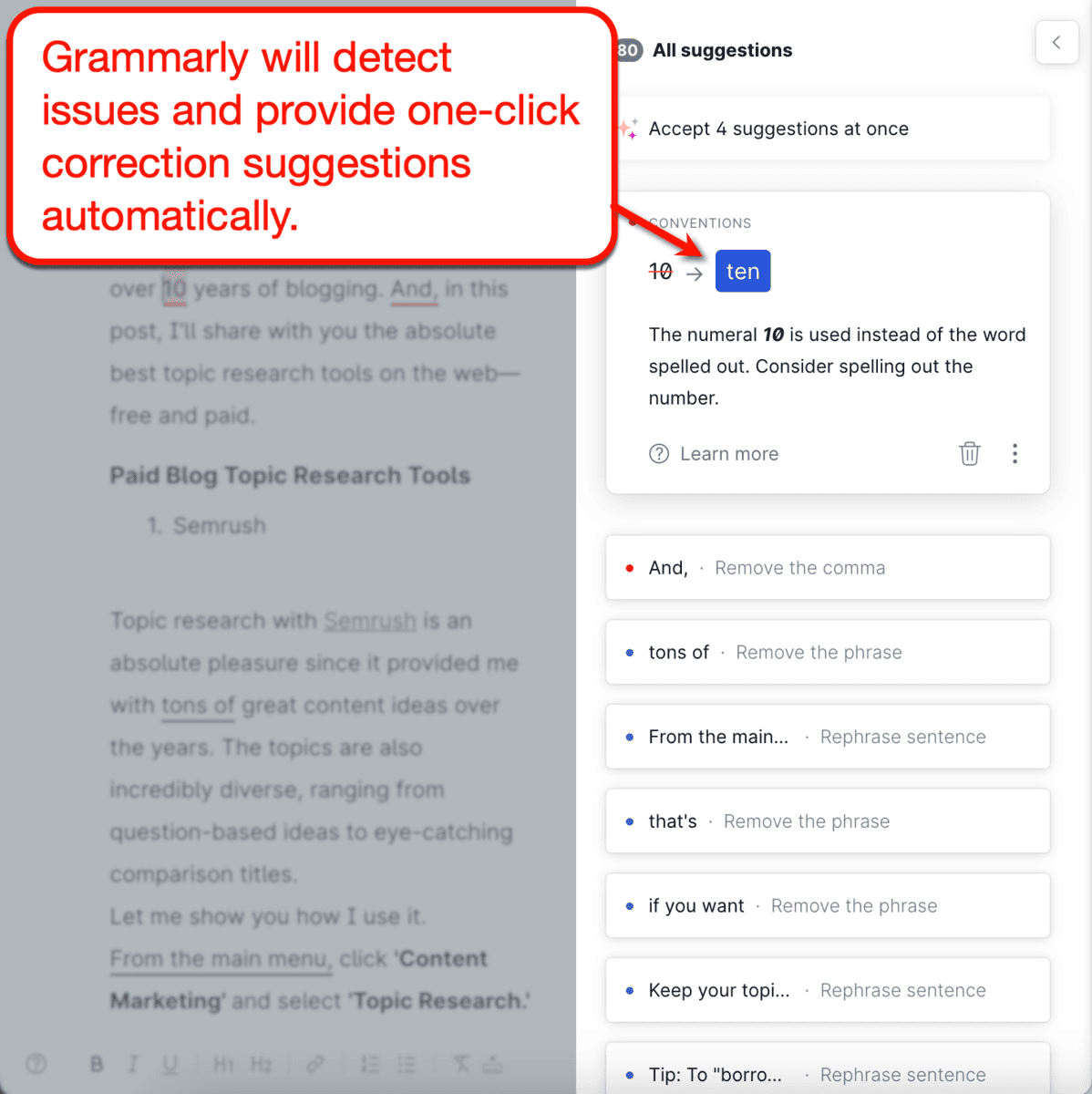Grammarly Correction Suggestions