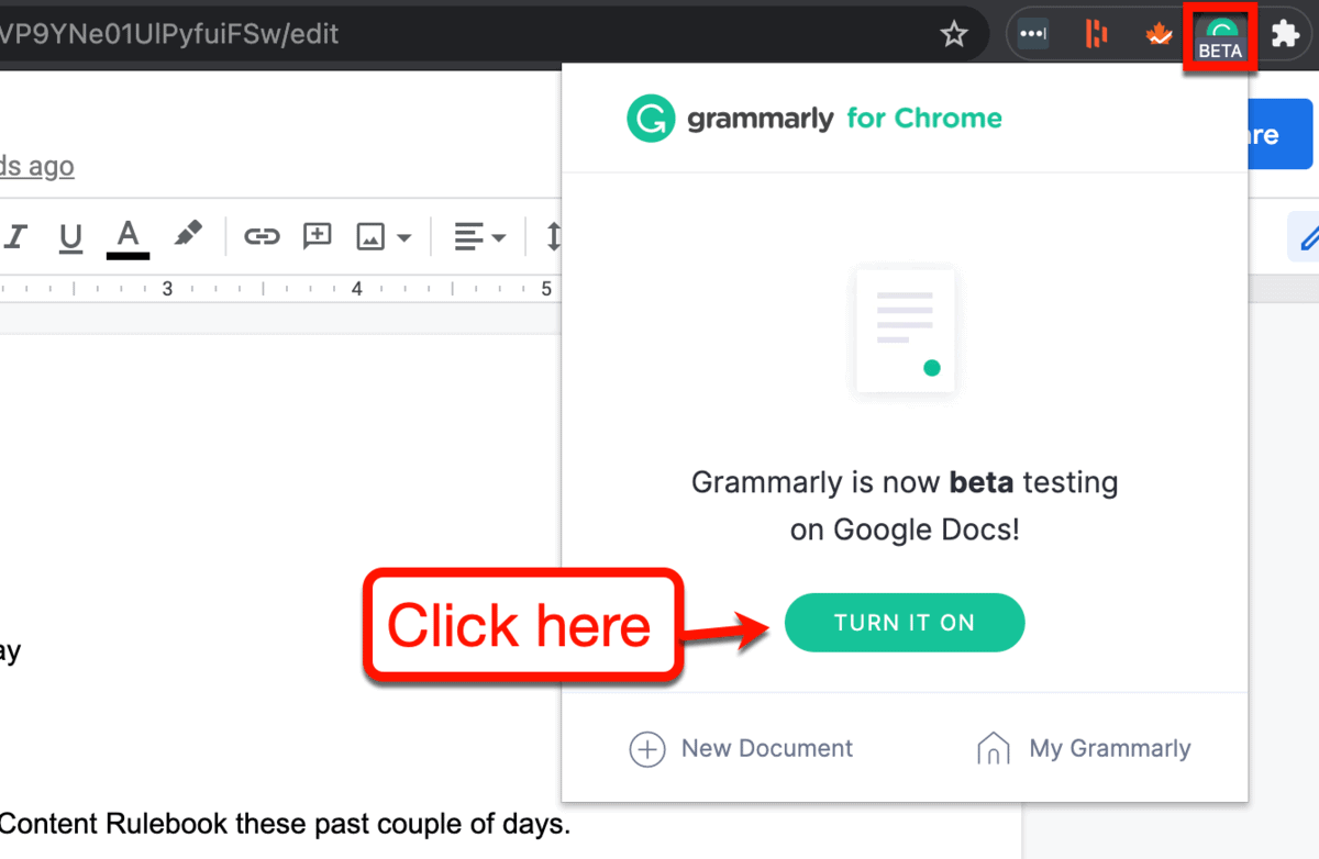 Enable Grammarly for Google Docs
