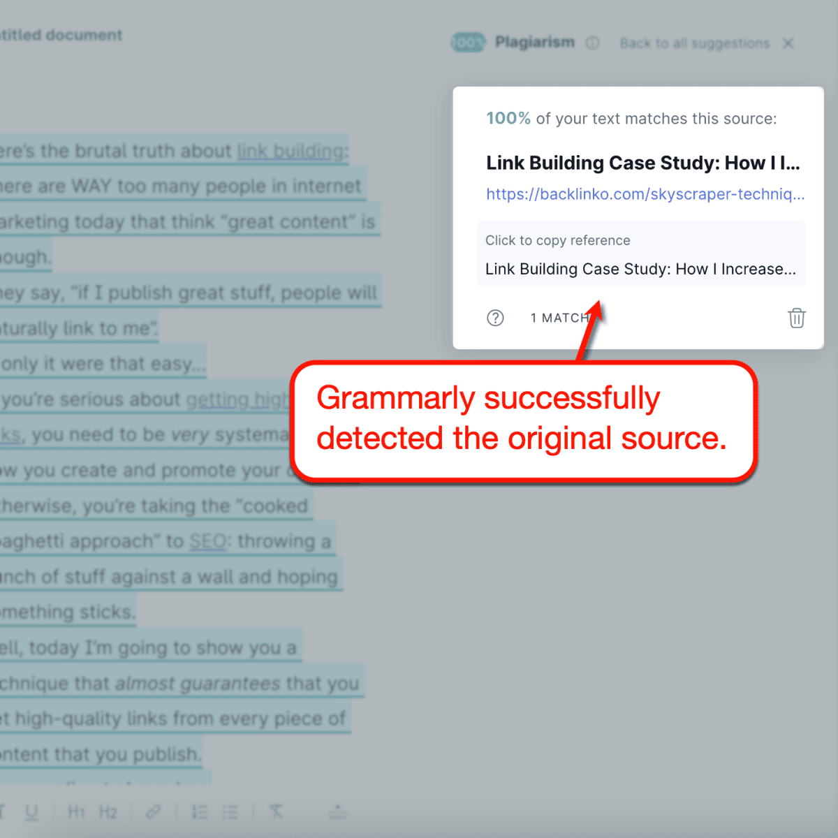 Grammarly plagiarism report success.