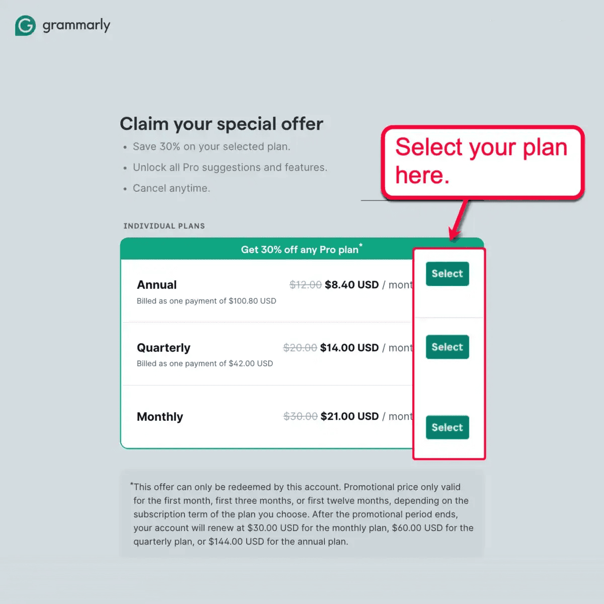 Grammarly Plan Selection