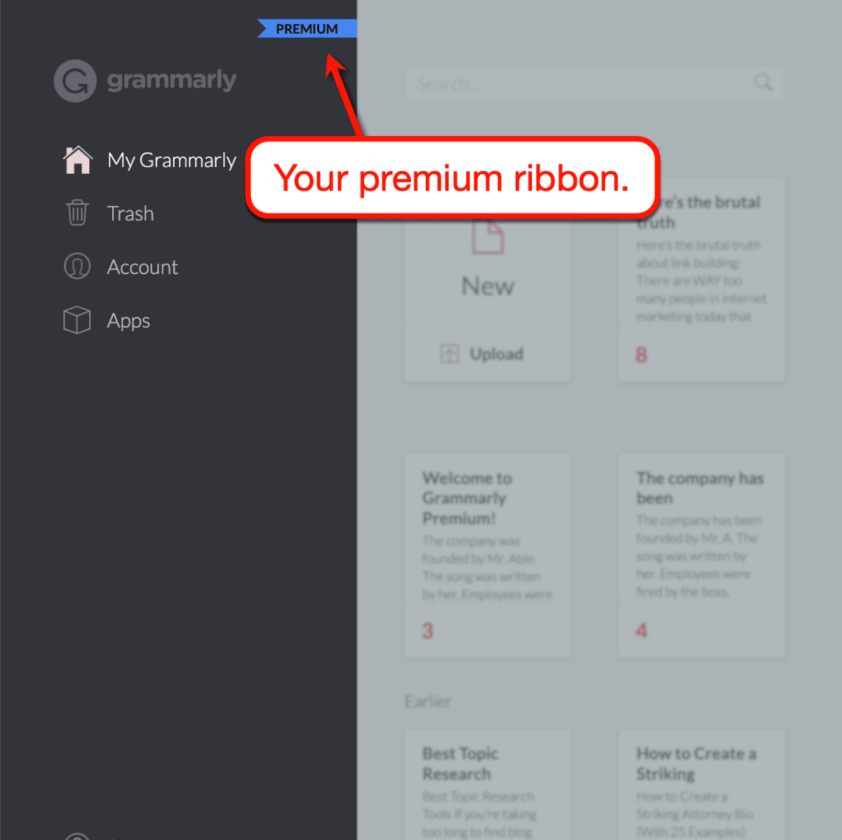 Grammarly Premium ribbon.