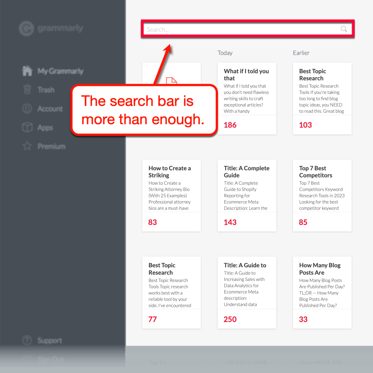 Grammarly search bar