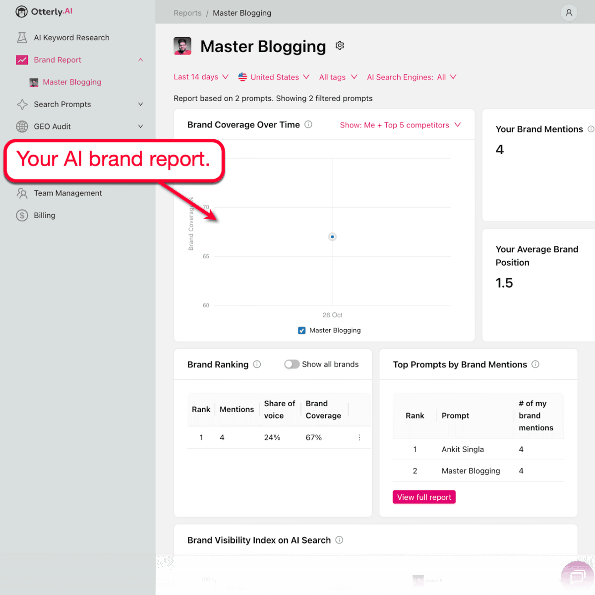 Otterly.ai Brand Report
