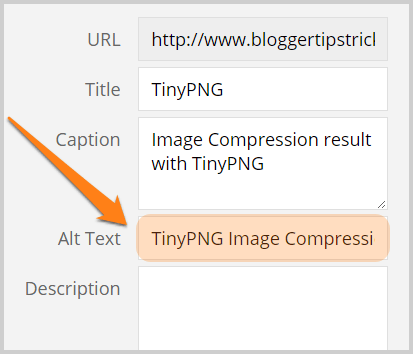 image alt text example