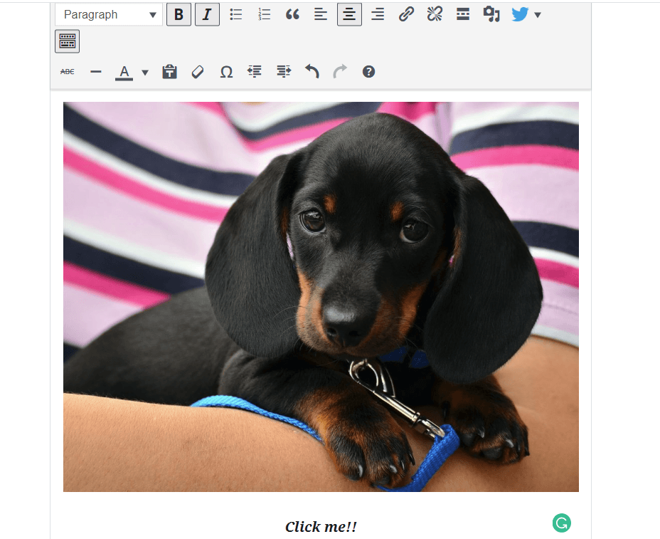 Internal Links Improve User Experience