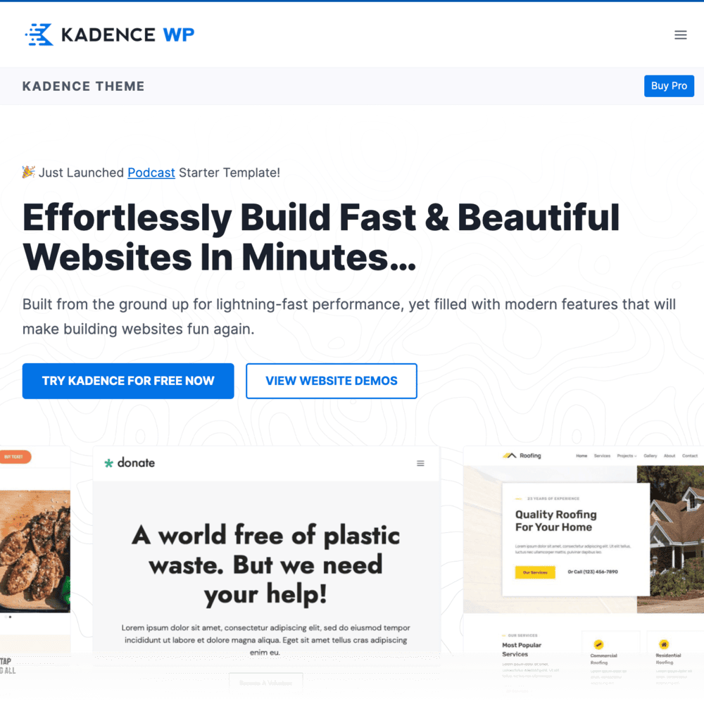 Kadence Theme homepage