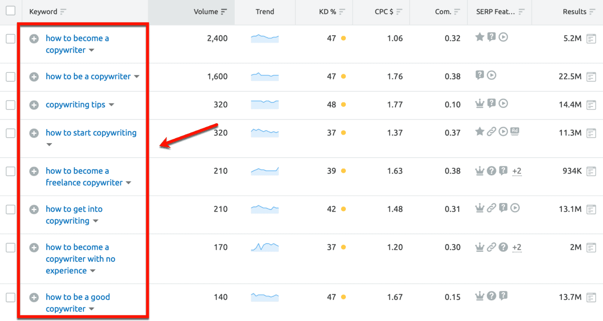 Keyword Magic Tool Filtered Keywords