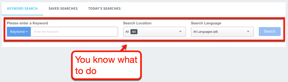 Keyword Revealer Main Interface