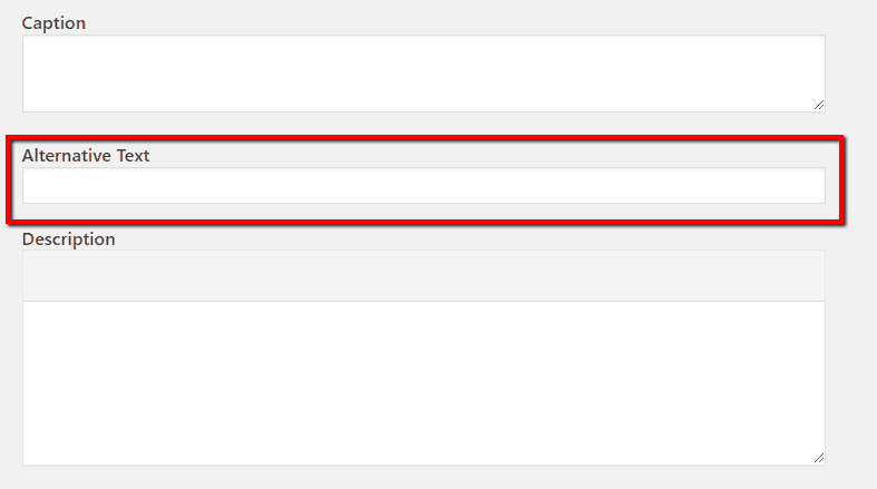 Long tail keyword in image alt text
