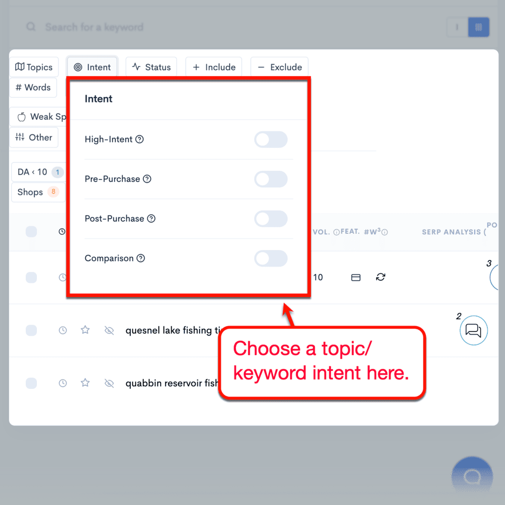 Using LowFruits search intent filter