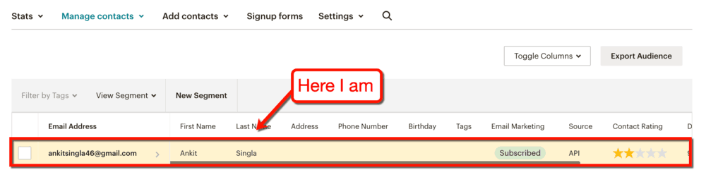 MailChimp New Contact Test