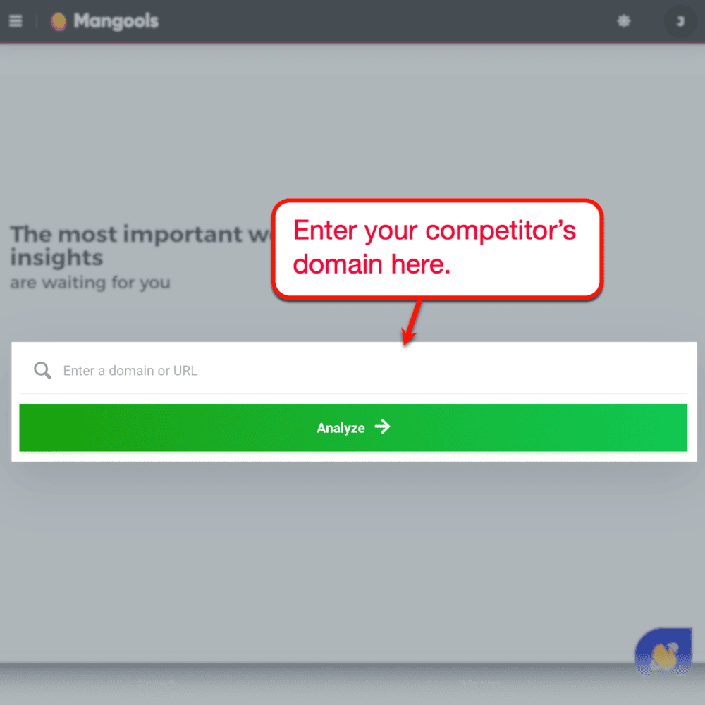 Mangools SiteProfiler main interface