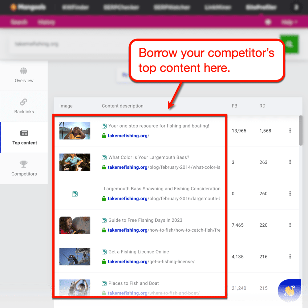 Mangools SiteProfiler top content results