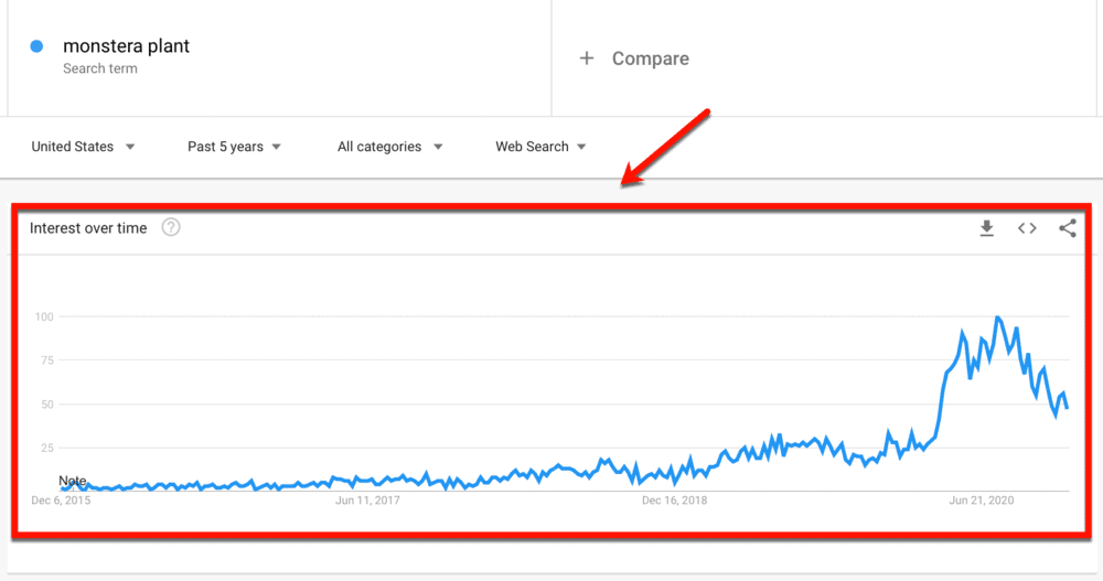 Monstera Plant Interest Over Time