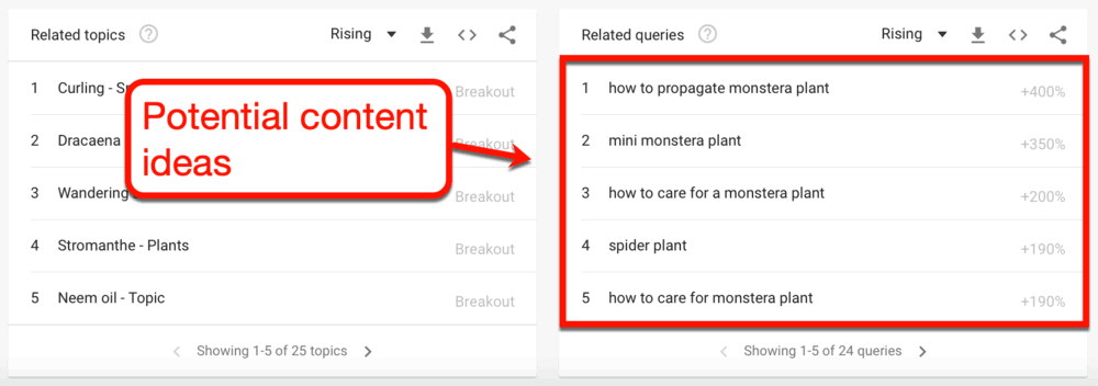 Monstera Plants Related Queries