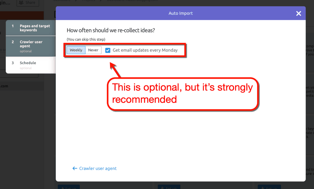 On Page SEO Checker Schedule