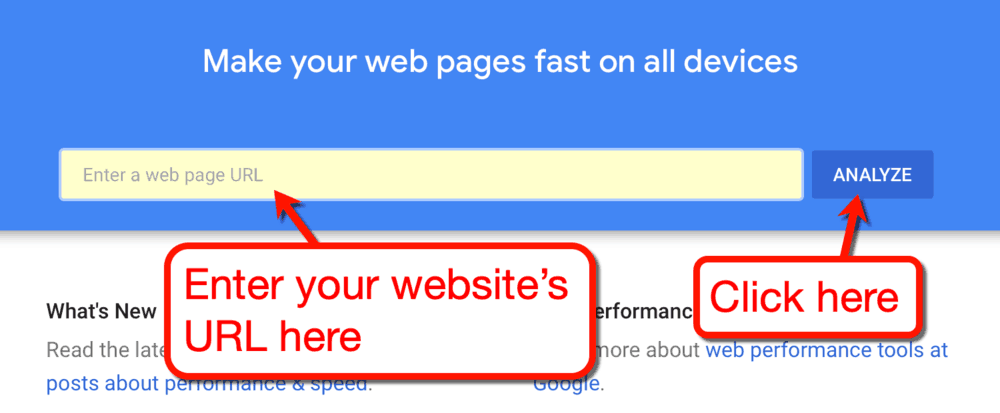 PageSpeed Insights Start Page