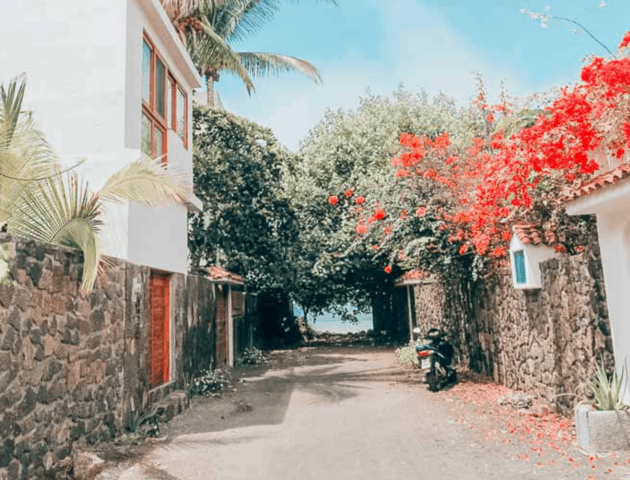 Practical Wanderlust