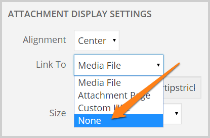 remove image hyperlink