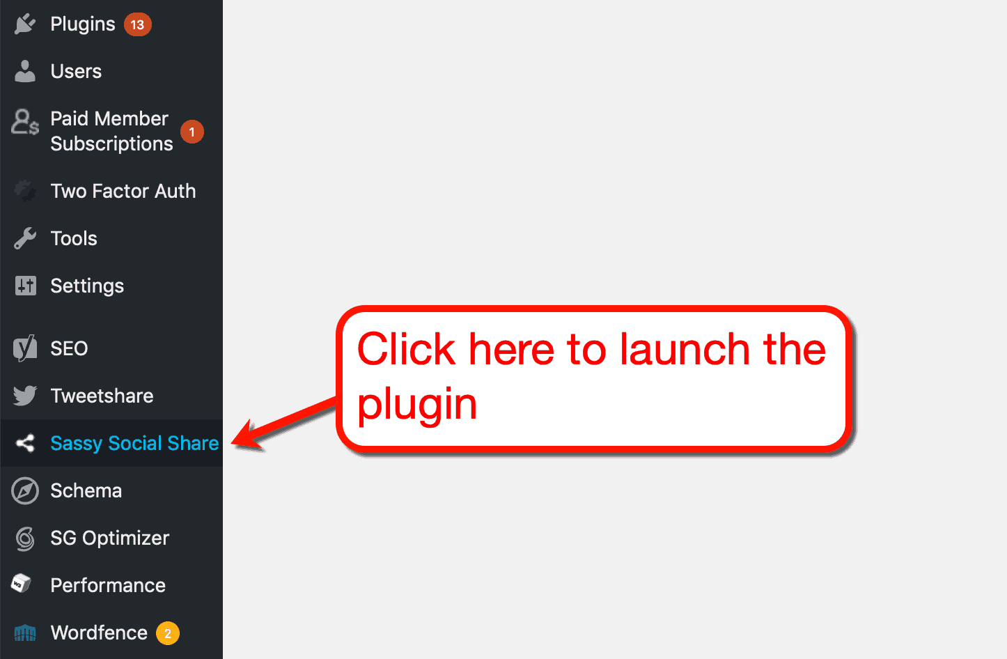 Sassy Social Share Launch from Plugin