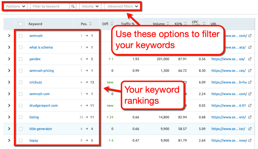 How to Use SEMrush Keyword Filters