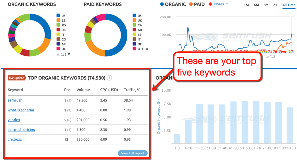 SEMrush Top Organic Keywords