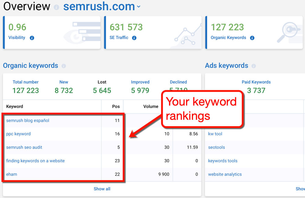 Serpstat Keyword Rankings