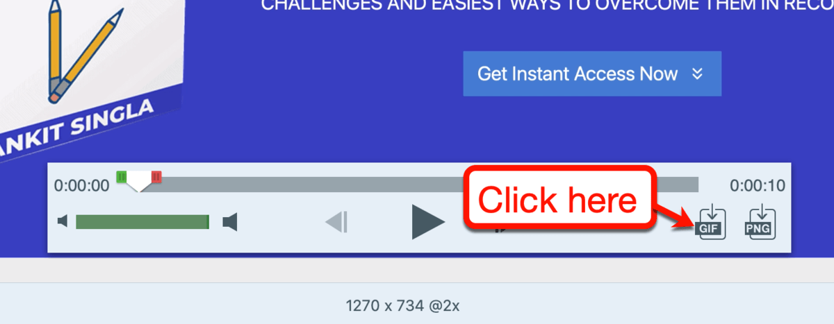 Snagit Export GIF Button