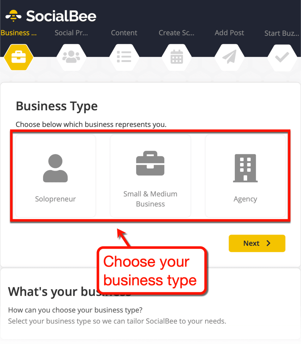 SocialBee Business Type