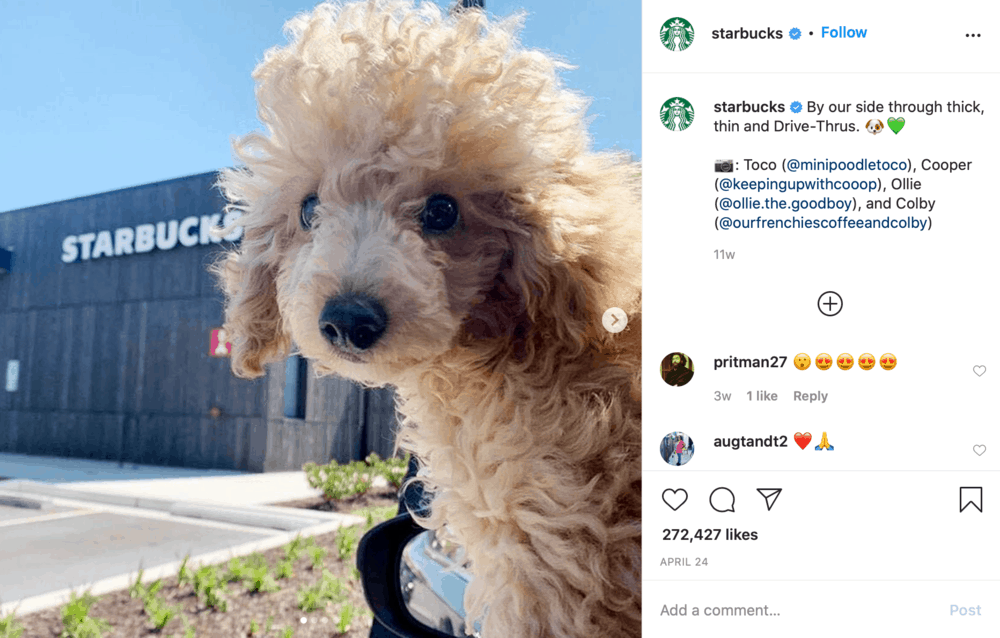 Starbucks on Instagram